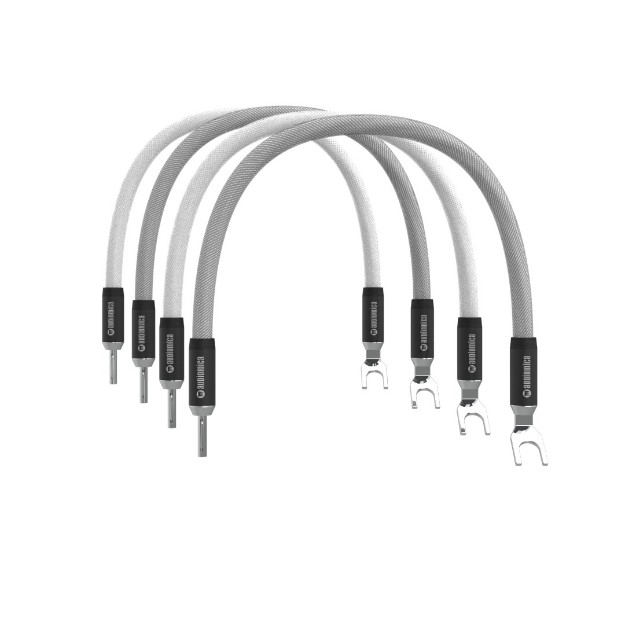 תמונה של QUAN Consequence Speaker Cable