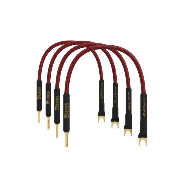 תמונה של QUAN Reference Speaker Cable